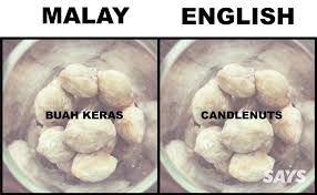 This was because i couldn't find one of the main ingredients that's called sengkuang in malay or bangkuang in hokkien which was a kind of sweet root vegetable. What S Pandan And Ciku In English We Dug Up Translations Of 16 Produce Malaysians Love