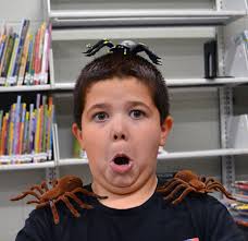 Wolcott School Fall Festival