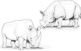 Coloring pages for adults pdf free download. Endangered Animal Pdf Zentangle Coloring Page Black Rhinoceros Pen Ink Art Collectibles Minyamarket Com