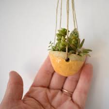We did not find results for: Small Hanging Planter Tiny Plant Pot Air Plant Hanging Etsy