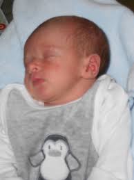 Geburt von Milo Grass am 18. Februar 2013