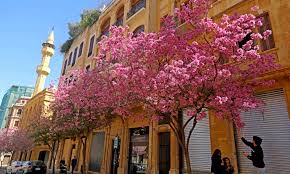Jun 12, 2021 · at the 2021 venice architecture biennale, lina ghotmeh architecture presents the design process behind the 'stone garden' housing project situated in beirut, lebanon. Beirut Is Beautiful Global Times