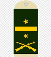 Policía nacional del ejército de colombia. Filas Militares Del Ejercito Colombiano Ejercito Nacional De Colombia Don Juego Y Don Puzzle S L Militar Militar Filas Colombiano Png Pngwing
