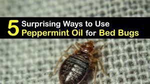 The best pest control company that specializing in natural pest control and uses organic pest control methods to help control all types of pests and it is very important to keep reading this article. 5 Surprising Ways To Use Peppermint Oil For Bed Bugs
