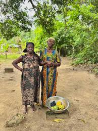 Image result for Afrobrunnichia