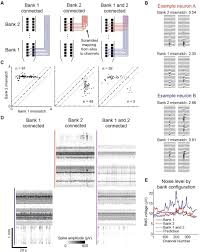 Check spelling or type a new query. Neuropixels 2 0 A Miniaturized High Density Probe For Stable Long Term Brain Recordings Biorxiv