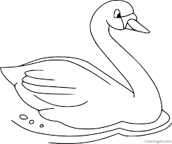 Maybe you would like to learn more about one of these? Simple Swimming Swan Coloring Page Coloringall
