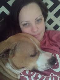 Animal Abuse in Tennessee: Identifying the Suspect