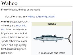 Read on to see what makes these tacos so special. Fuck Yeah Good Omens Can You Explain Why Is There A Fish With The Wahoo