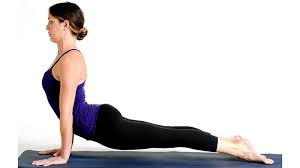 Yoga For Beginners Poses Sequences And Tips Basic Yoga Basic Yoga Poses Yoga Poses