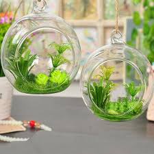 Ball Shape Clear Transparent Hanging Glass Vase Flower Plants Terrarium Vase Container Diy Wedding H Hanging Glass Vase Landscape Decor Flower Vases
