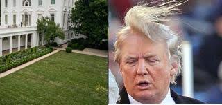 Donald Trump has been criticised for his suggestion of replacing a damaged  section of the White House lawn with concrete, although covering a thin  patch with an unsightly substance has worked for