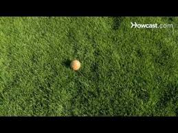 One side is shaved down so that the bowl travels in a curve. How To Play Bocce Youtube