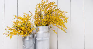 The key to confidently creating a home you love is knowing your decorating style. Five Steps To Finding Your Decorating Style Find Your Home Decor Style
