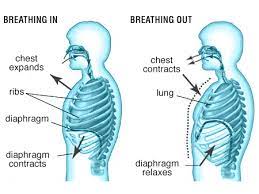 What Is A Waist Trainer Do They Work Girls Gone Strong