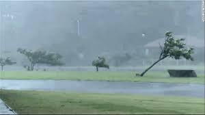 Jun 04, 2021 · 台風6号、沖縄のお中元に影響 配送が滞り売り上げ減る 夏野菜やサトウキビは強風で打撃 7月の4連休 沖縄の観光客数は予想から半減 台風で欠航が長引く 緊急事態宣言に追い打ち Cnn Co Jp å°é¢¨ï¼'ï¼•å· æ²–ç¸„ã‚'ç›´æ'ƒ è¨˜éŒ²çš„ãªæš´é¢¨