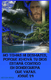 Https Encrypted Tbn0 Gstatic Com Images Q Tbn And9gctnrgj6xvfnydjy167toudbbcv3c1htz2babq Usqp Cau