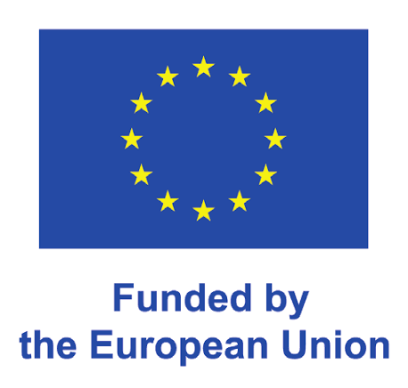 THE USE OF THE EU EMBLEM IN THE CONTEXT OF EU PROGRAMMES ...