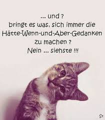 Ebend Ebend 2020 Kedi