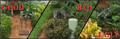 Tap the portrait orientation lock button to make sure that it's off. Landscaping Guidelines Bonita Springs Utilities