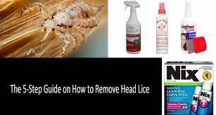 Best Lice Combs And Sprays Of 2021 5 Step Treatment Guide Review
