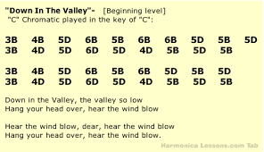 Blank sheet music & scores. Down In The Valley Chromatic Harmonica Tab