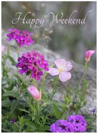 Cafenohut Haftasonu Karti Bahceden Cicekler Happy Weekend Quotes Happy Weekend Weekend Greetings