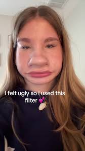 Exploring Face Filters for Enhanced Beauty