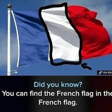 The Frogs Did Use The White Part Of Their Flag More Than Necessary After All Historical Memes History Memes History Jokes
