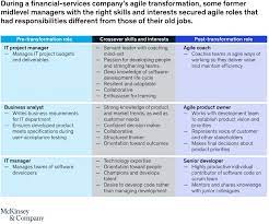 Repositioning As An Agile Manager | Mckinsey