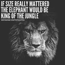 If Size Really Mattered The Elephant Would Be The King Of The Jungle Unknown Quotes Warrior Quotes Lion Quotes