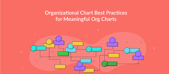 Org Chart Best Practices For Effective Organizational Charts