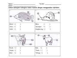 Kementerian pelajaran malaysia menyediakan pendidikan prasekolah bagi membolehkan. Latihan Bahasa Melayu Tadika 6 Tahun Google Search School Kids Activities Subtraction Activities Preschool Learning