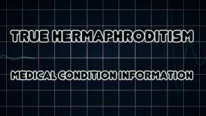 Image result for True Hermaphroditism