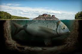 Dan (ingatlah kisah) dzun nūn (yūnus), ketika ia pergi dalam keadaan marah, lalu ia menyangka bahwa. Ikan Paus Yang Menelan Nabi Yunus Masih Hidup Hingga Sekarang