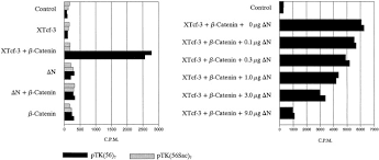 We did not find results for: Xtcf 3 Transcription Factor Mediates B Catenin Induced Axis Formation In Xenopus Embryos Sciencedirect