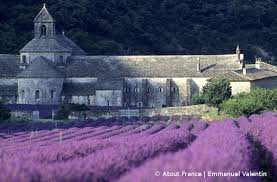 Auch regionale meteorologische besonderheiten haben einfluss auf die. Lavendel In Der Provence Blutezeit Reiseangebote Ausflugstipps