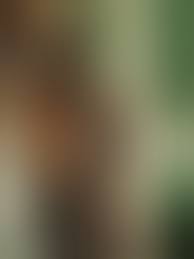 Lili Taylor Nude (38+)