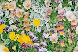 My cultural life: Ruth McGowan