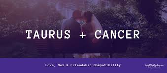 Taurus and cancer compatibility because of their strong connection, taurus and cancer often form a romantic bond with each other. Taurus And Cancer Compatibility In Sex Love And Friendship