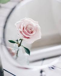 Usage count در وب آو ساینس نمایش شمارش خطوط در ورد word ( 1399/11/04 ). 480 ÙˆØ±Ø¯ Ùˆ Ø²Ù‡Ø± Flowers Ideas In 2021 ÙˆØ±Ø¯ Ø§Ù„Ø²Ù‡Ø±Ø© Ø²Ù‡Ø±Ø©