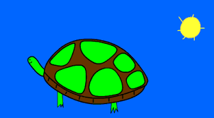 Maybe you would like to learn more about one of these? Turtle On A Skateboard Gifs Get The Best Gif On Giphy