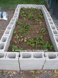 We did not find results for: Building Our Concrete Raised Bed Minneapolis Homestead