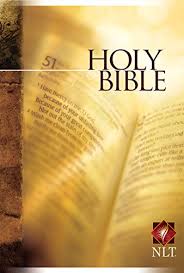 Amazon Com New Living Translation Kindle Store