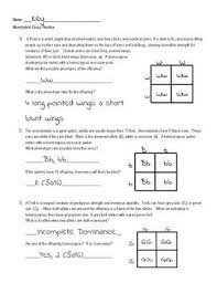 Set up the punnett square 4. Monohybrid Crosses Practice Worksheet Answer Key Promotiontablecovers