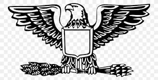 Flying eagle clip art ztcy f clipart. Bald Eagle Badge Eagle Scout Clip Art Png 800x415px Bald Eagle Badge Beak Bird Bird Of