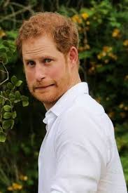 570 H.R.H. Henry- Prince of the United Kingdom ideas in 2025