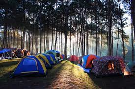 Le pass sanitaire est demandé depuis le 21 juillet dans tous les campings dotés d'une piscine, d'espaces d'activités ou de restauration. Campsites In France And The Covid Health Pass What Are The Rules