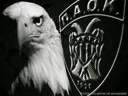 ✓ free for commercial use ✓ high quality images. Pin By Thomas Tassioulas On Drakos Christmas Paok Animals Thessaloniki Bird