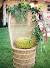 Home Baby Shower Chair Ideas